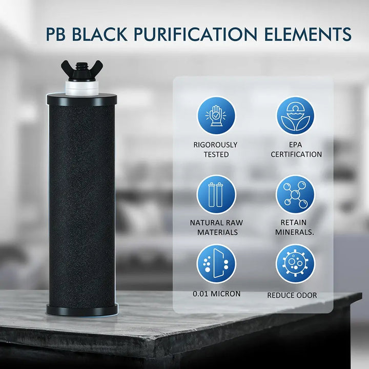 2 Black Filters + 2 Fluoride Filters B Purewell