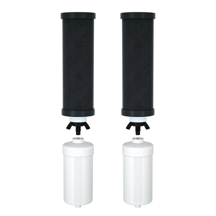 2 Black Filters + 2 Fluoride Filters B Purewell
