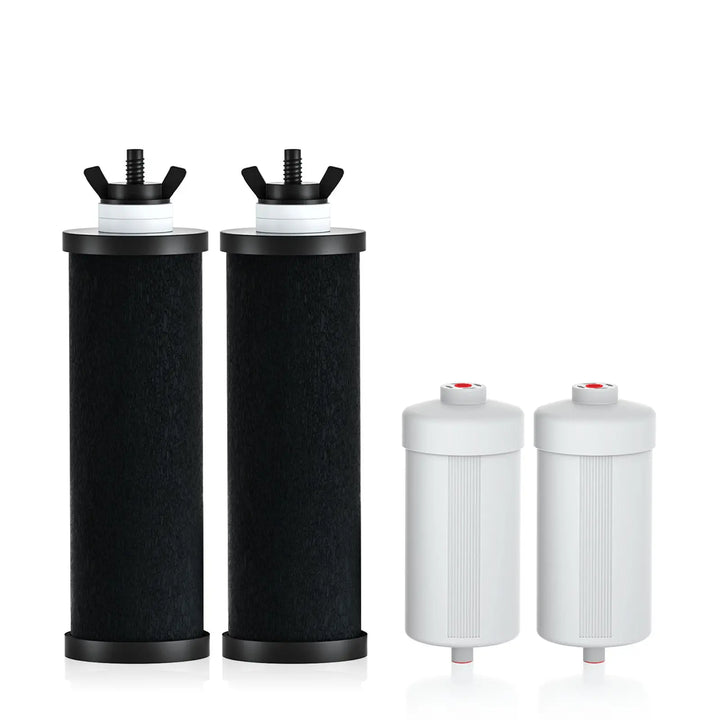 2 Black Filters + 2 Fluoride Filters B Purewell