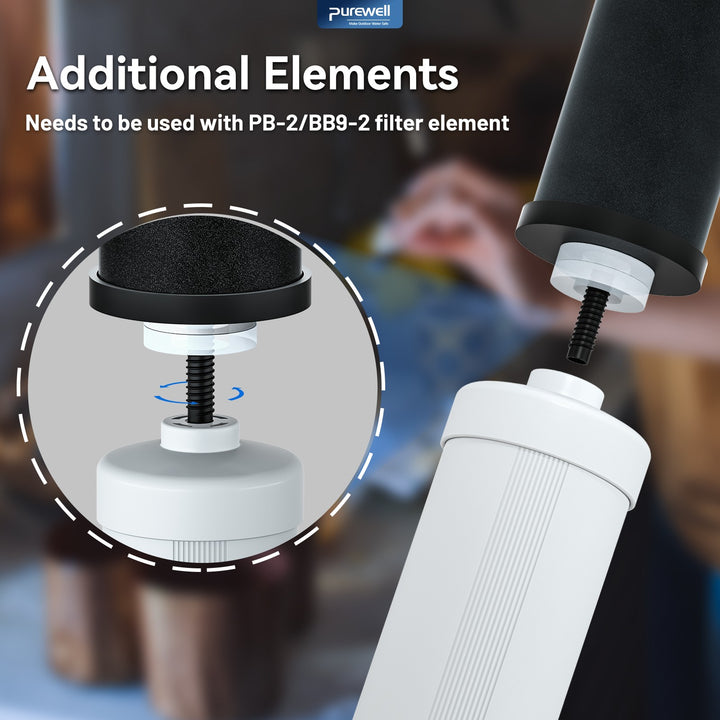 Fluoride Reduction Element PF-2 Purewell