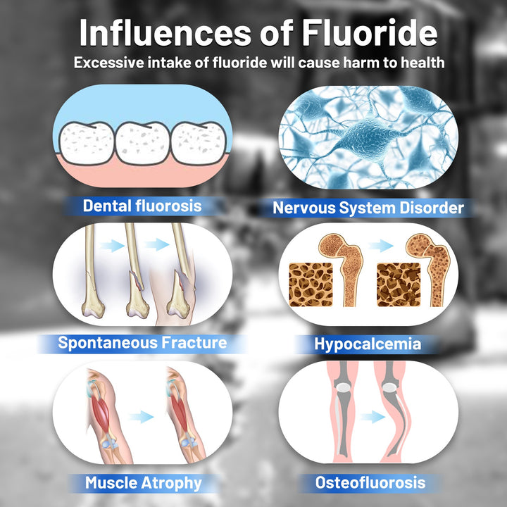 Fluoride Reduction Element PF-2 Purewell